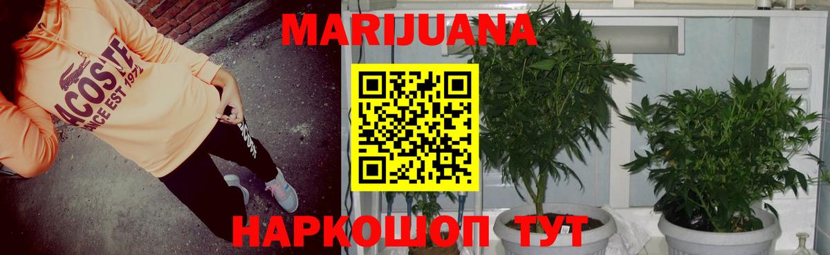 Конопля ГИДРОПОН  Конопля Bruce Banner  Вход с VPN  Богородицк  Конопля Ganja 